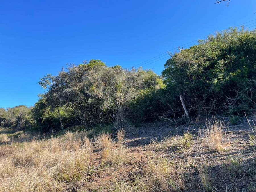 0 Bedroom Property for Sale in Bathurst Eastern Cape